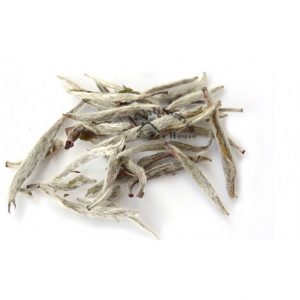 Organic Silver Needle white tea.jpg