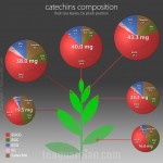 Tea catechins by pluck position