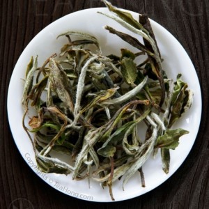 white-tea-baimudan-floral.jpg