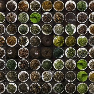 tea hong tea varieties v2 square.jpg