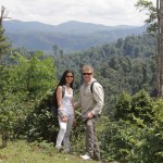 Directly Sourced teas (Yunnan-JingMai-2013)