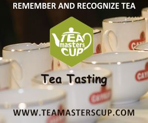 Banner 300x250-3.png