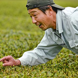 Koji Nagata, tea artisan