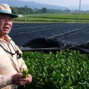 Kazuo Watanabe, tea artisan