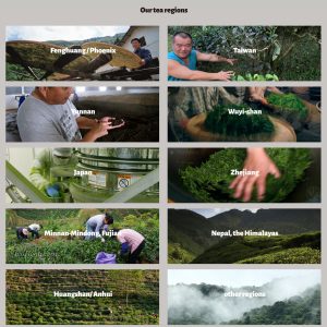 Our tea regions screenshot.jpg