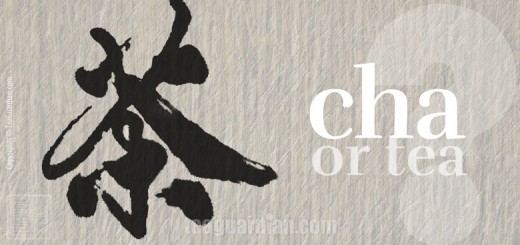 Romanization of names and terms