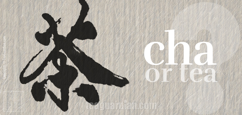 Romanization of names and terms