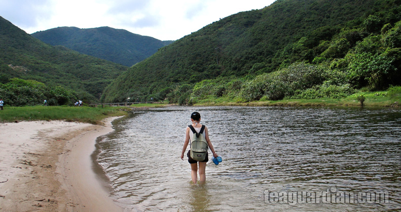 Dai Long Wan river inlet