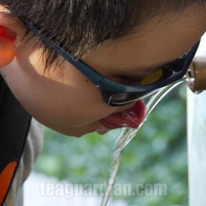 Small child trying to drink from drinking fountain