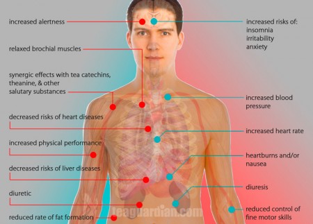 The health effects of caffeine
