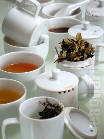 Tea Tasting