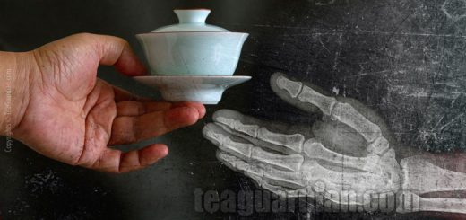Tea helps to protect the bone