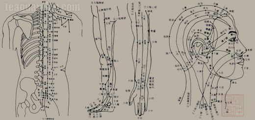 Accupunctural points in TCM