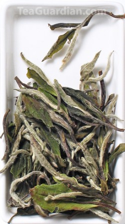 White Peony, white tea, special grade, matured for 1 year