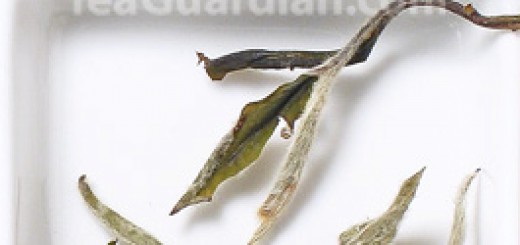 White Peony, white tea, special grade, matured for 1 year