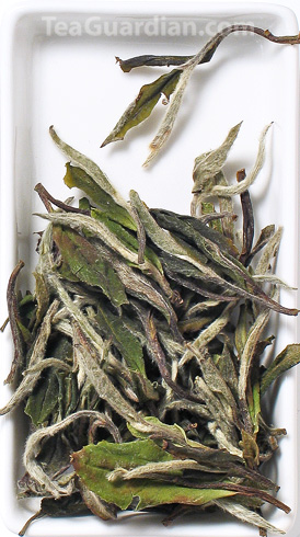 White Peony, white tea, special grade, matured for 1 year