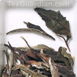 White Peony, white tea, matured for 8 years