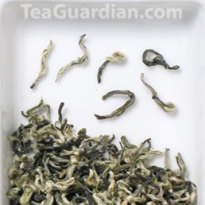 Biluo Chun, green tea, Minbei version
