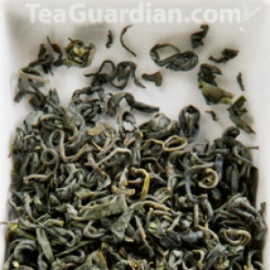Chao Qing, green tea