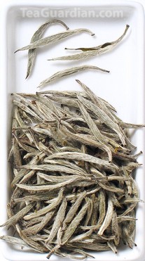 Silver Needle, white tea