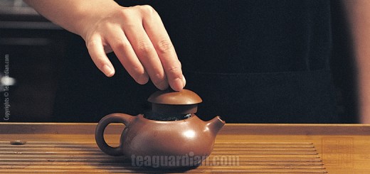 Gongfu tea making lesson 1
