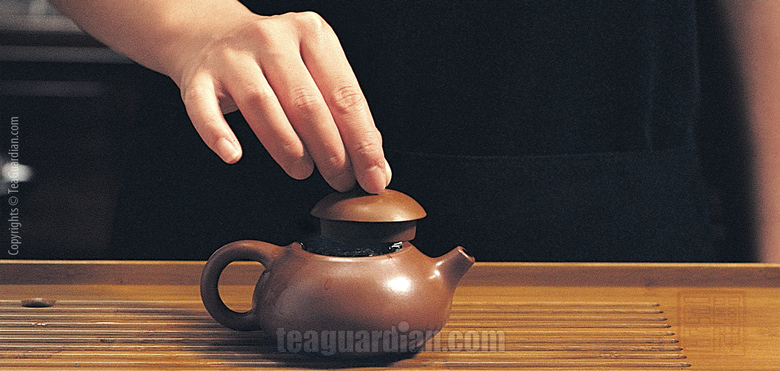Gongfu tea making lesson 1