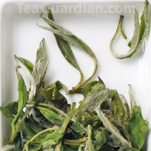 Baked green tea: Green White Peony