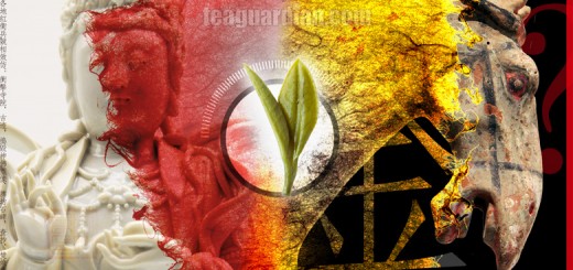 Golden Horses, Tieguanyin Turns Red and Hairs on Tea