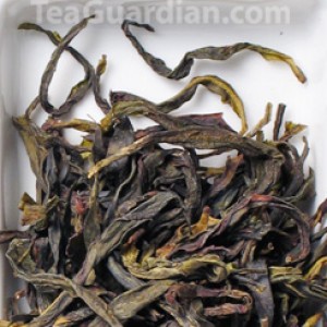 Song Cultivar Huangzhi Xiang Dancong, Phoenix oolong