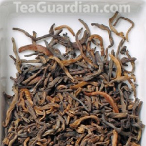 Imperial Golden Tip Pu'er, dark tea