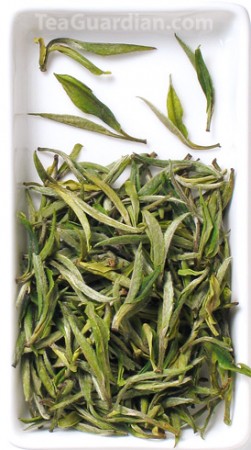 Kaihua Longding, green tea