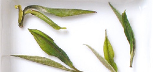 Kaihua Longding, green tea