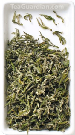 Mengding Ganlu, green tea