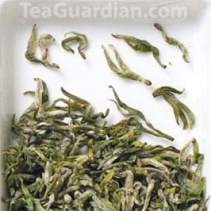 Mengding Ganlu, green tea