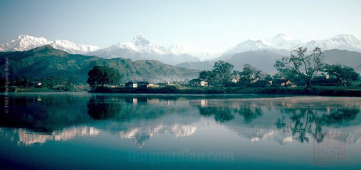 Anapurna, the region of the Himalayan orthodox black tea we revi