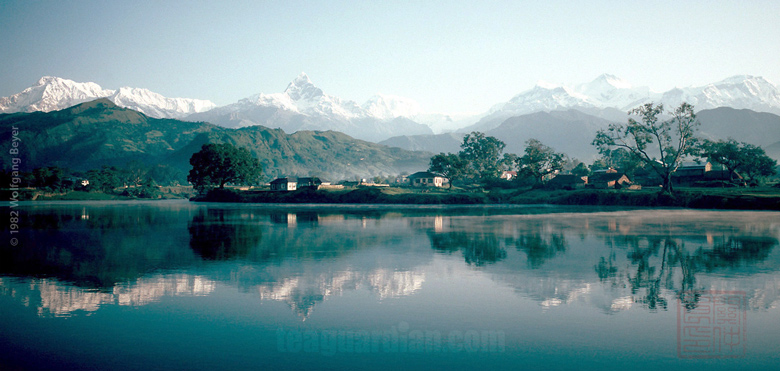 Anapurna, the region of the Himalayan orthodox black tea we revi