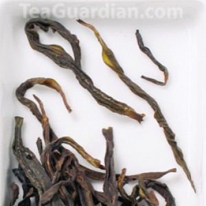 Milan Xiang Dancong, medium high quality