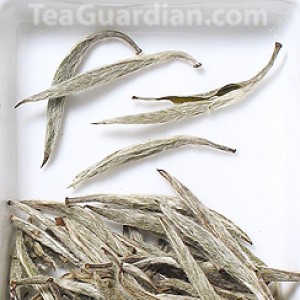 Silver Needle, white tea
