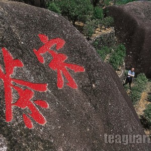 song-cultivar-oolong