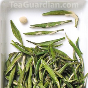 Taimu Cuijian, green tea