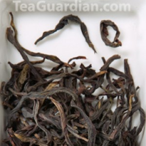 Milan Xiang, Phoenix oolong