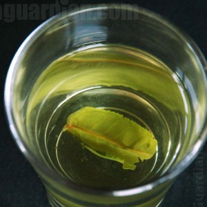 Infusion of the green tea Luan Guapian