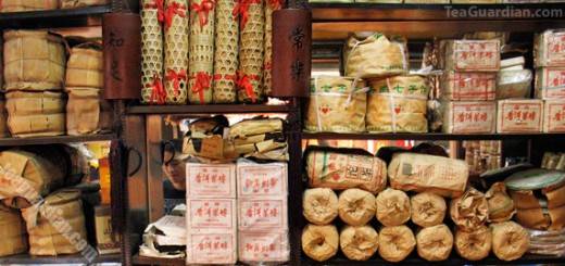 Various compressed pu'er products in a small shop