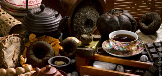 Different varieties of compressed tea