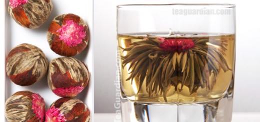 Infusion and the tealeaves of a crafted tea: Longzhu Qianrihong