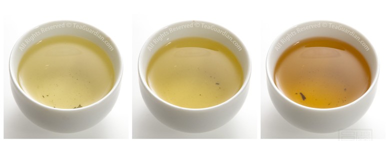 Comparing the infusion colour of Gongfu Green Uva, a Paochong oo