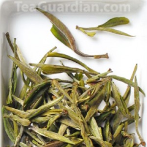 Huangshan Maofeng, green tea