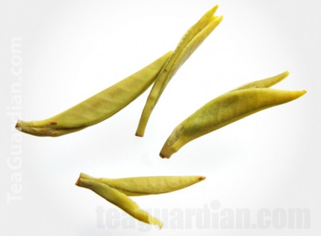 Infused leaves of Shihua green tea