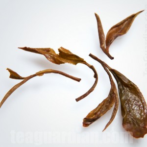 Infused Leaves of Fuding Semi Black White