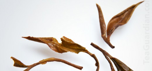 Infused Leaves of Fuding Semi Black White